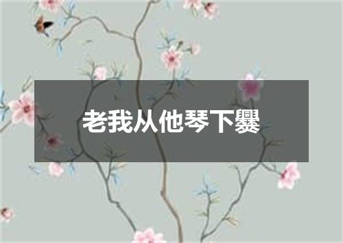 老我从他琴下爨