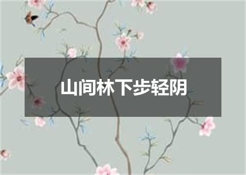 山间林下步轻阴