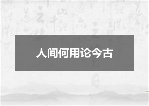 人间何用论今古