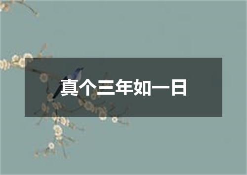 真个三年如一日