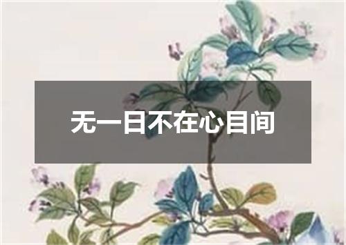 无一日不在心目间