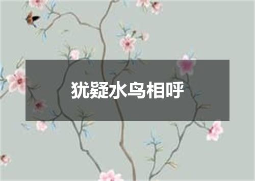 犹疑水鸟相呼