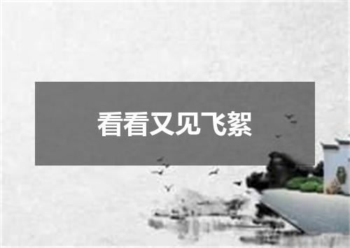 看看又见飞絮