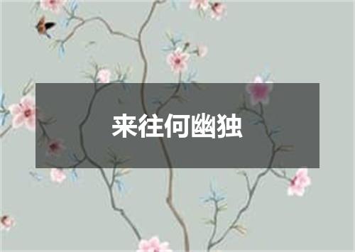 来往何幽独