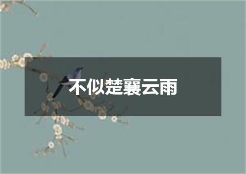 不似楚襄云雨