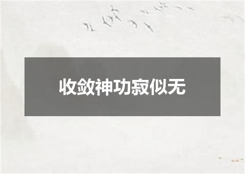 收敛神功寂似无