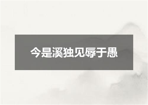 今是溪独见辱于愚