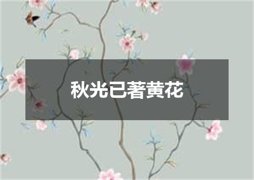 秋光已著黄花