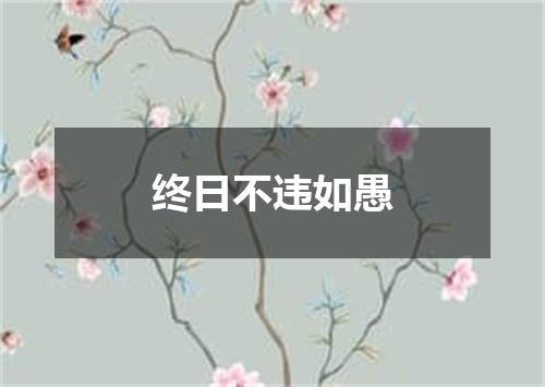 终日不违如愚