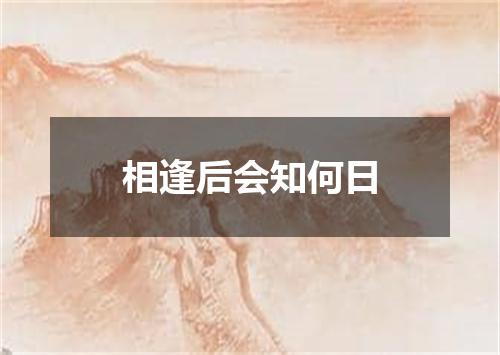 相逢后会知何日