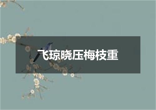 飞琼晓压梅枝重