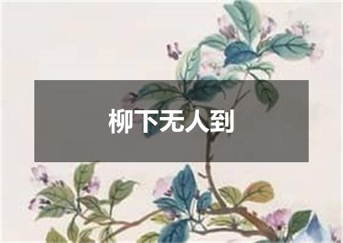 柳下无人到