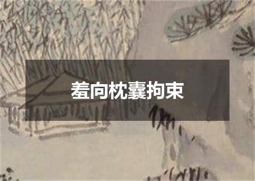 羞向枕囊拘束