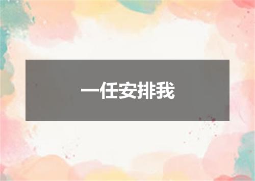 一任安排我