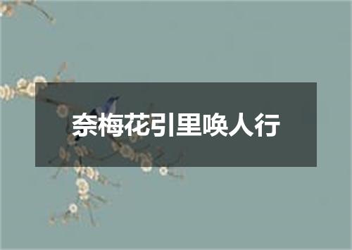 奈梅花引里唤人行