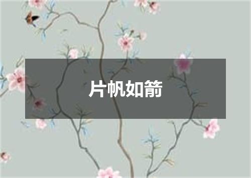 片帆如箭