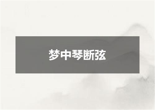 梦中琴断弦