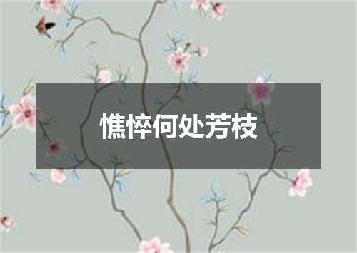 憔悴何处芳枝