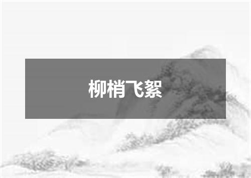 柳梢飞絮