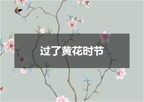 过了黄花时节