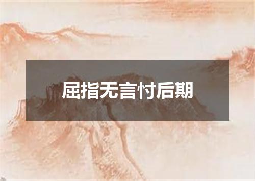 屈指无言忖后期