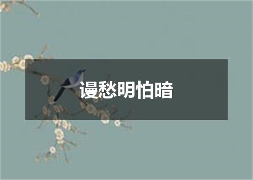 谩愁明怕暗