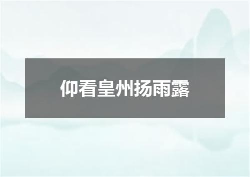 仰看皇州扬雨露