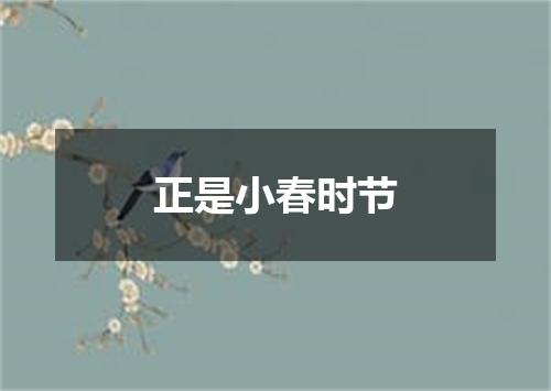 正是小春时节