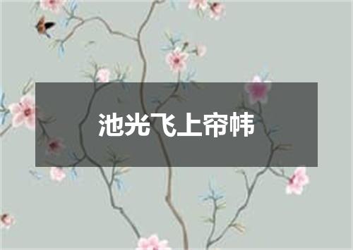 池光飞上帘帏