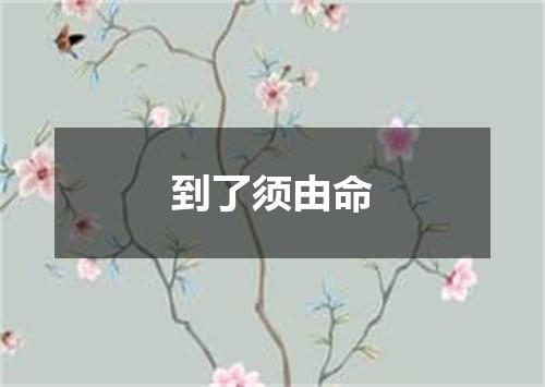 到了须由命