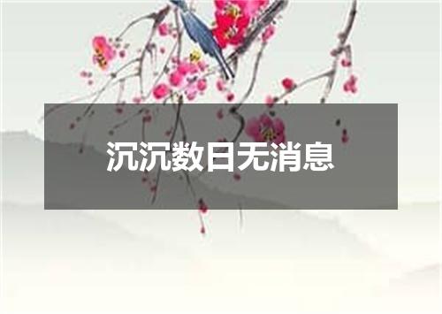 沉沉数日无消息