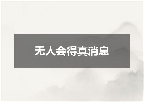 无人会得真消息