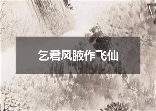 乞君风腋作飞仙