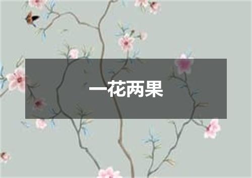 一花两果