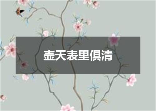 壶天表里俱清