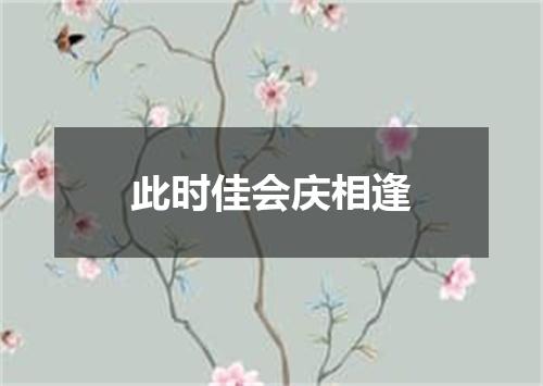 此时佳会庆相逢