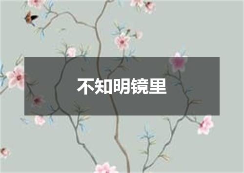 不知明镜里