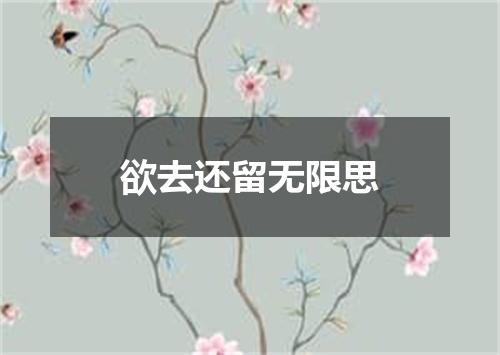 欲去还留无限思