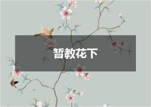 暂教花下