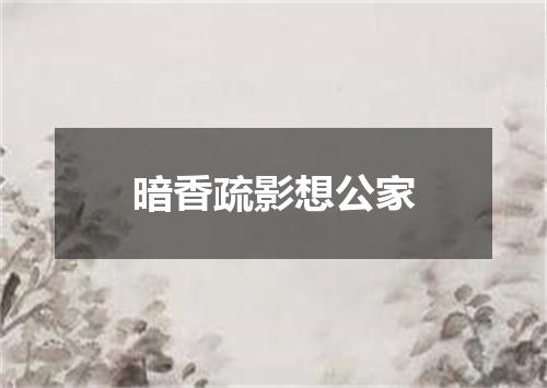 暗香疏影想公家