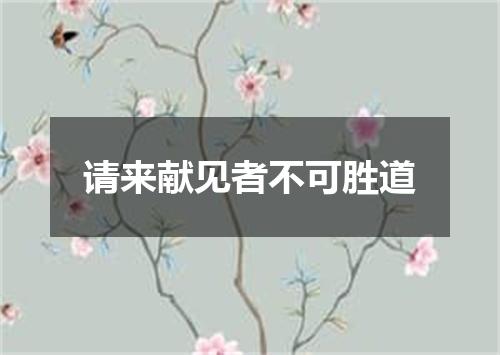 请来献见者不可胜道