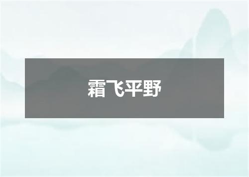 霜飞平野