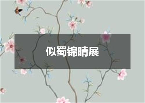 似蜀锦晴展