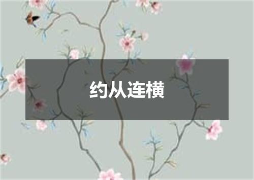 约从连横