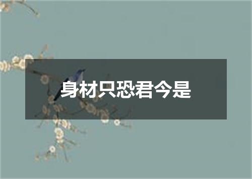 身材只恐君今是