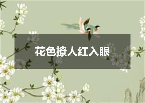 花色撩人红入眼