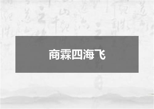 商霖四海飞