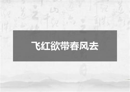 飞红欲带春风去