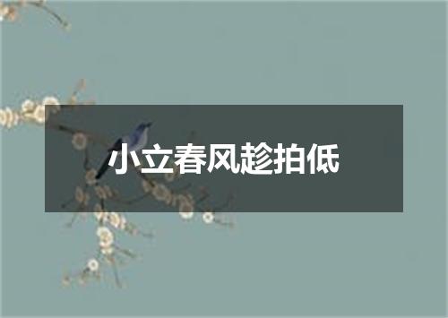 小立春风趁拍低