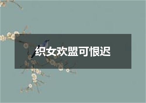 织女欢盟可恨迟